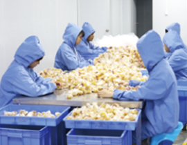 ��ɭ���z-ģ��܇�g